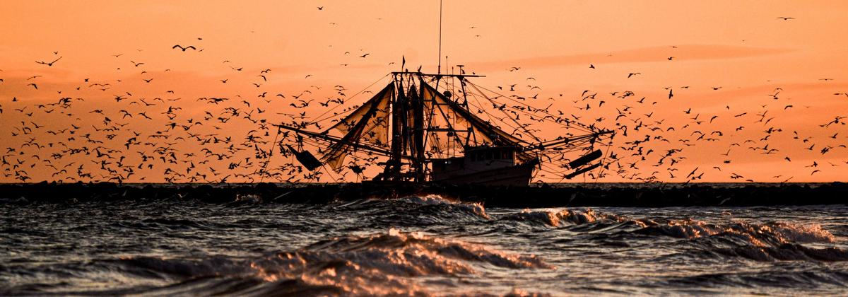 Oregon Coast Charter Fishing | Shared 5 Hour Charter Trip Lingcod Rockfish